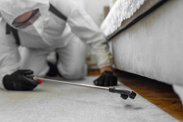 Professional Termite Control technician working in Riverdale, CA