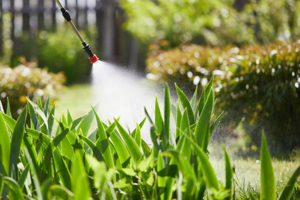 24/7 Emergency Termite Control experts in Riverdale, CA